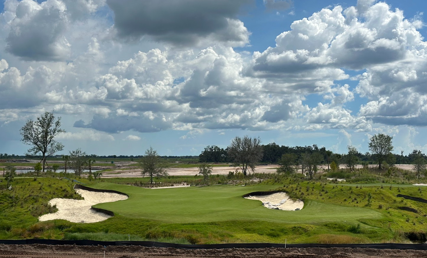 Lazer Zoysia — Bladerunner Farms